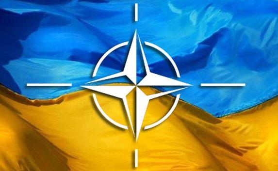 НАТО не намерено вмешиваться в конфликт в Украине